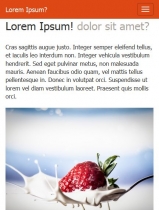 Foodies Template Screenshot 8