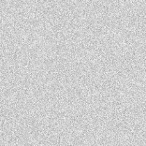 WPTubeGray - WordPress Video Tube Theme Screenshot 1