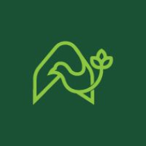 Elegant Bird With Letter A  Screenshot 4