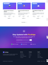 PicoEdge – Modern Tech Businesses Template Screenshot 6