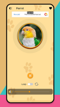 Dog And Cat Translator prank App Screenshot 16