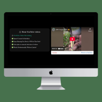 Video Player And Seller for WordPress  Screenshot 19