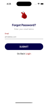 React Native Firebase Auth Kit Screenshot 21