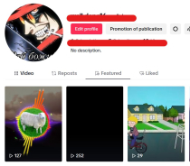 TikTok Auto Uploader - Python Screenshot 2