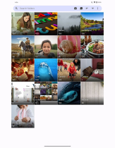 Pixora Gallery - Android Studio Kotlin Project Screenshot 1