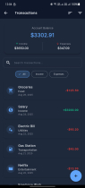 FinanceFlow Pro - Finance Dashboard Flutter Screenshot 3