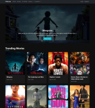 FMovies CMS 2025 Screenshot 3