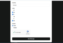 Advanced Contact Form Screenshot 10
