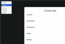 Advanced Contact Form Screenshot 15