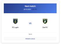 Football Club Manager - WordPress Plugin Screenshot 3