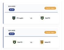 Football Club Manager - WordPress Plugin Screenshot 8