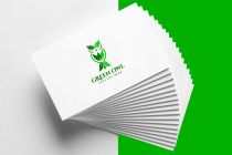 Green Leaf Owl Logo Design Screenshot 4
