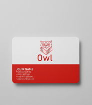 Geometric Owl Logo Screenshot 2