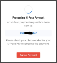 M-Pesa STK Push Plugin for WooCommerce Screenshot 2