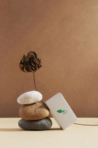 Vegan Logo Screenshot 1