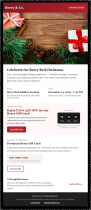 ChristmasVibe – Christmas Email Templates Screenshot 3