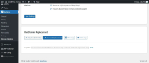 Domain Replacer WordPress Plugin Screenshot 2