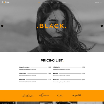 Solun - Premium Saloon WordPress Theme Screenshot 1