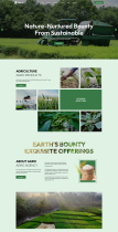 Dplant - Agriculture Farming WordPress Theme Screenshot 2
