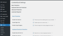 ContentGurd – Content Protection WP Plugin Screenshot 2