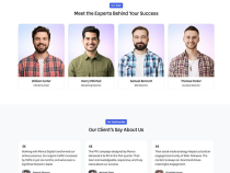 Digital Marketing Agency HTML Template Screenshot 4