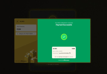 Klyro - Premium Razorpay Payment Gateway in PHP  Screenshot 8